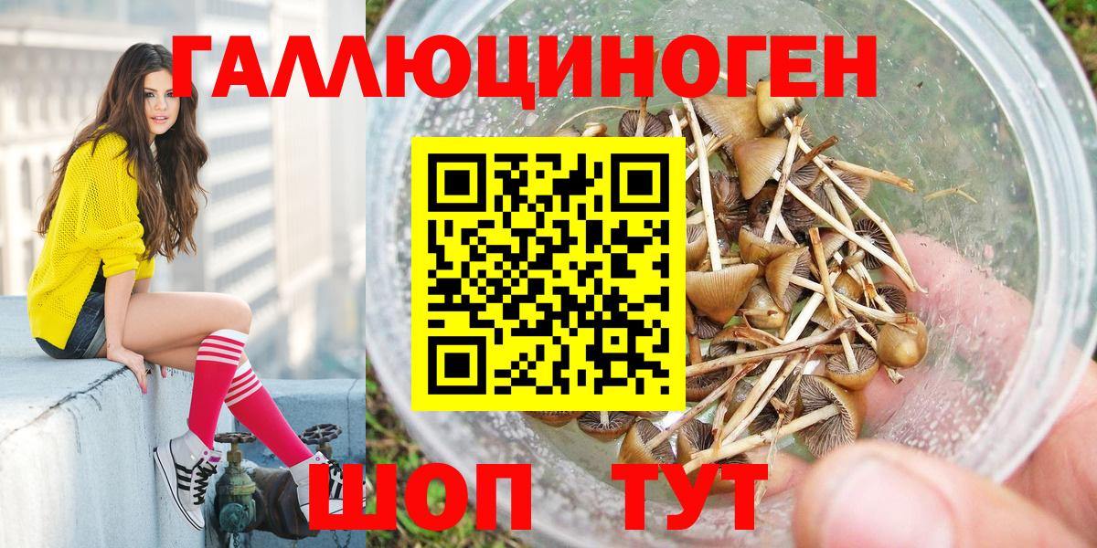 Псилоцибиновые грибы мухоморы  Псилоцибиновые грибы Cubensis  Вход с VPN  закладки  Рассказово 