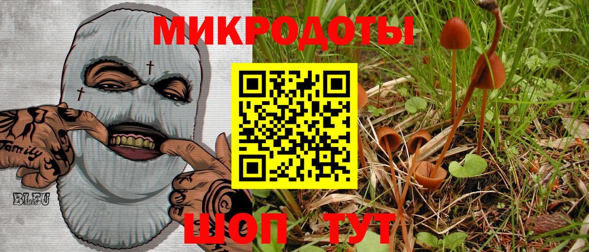 Галлюциногенные грибы Cubensis Рассказово