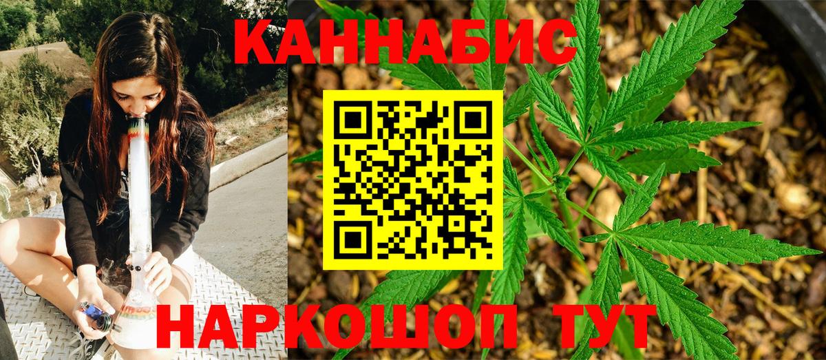 Конопля план Рассказово